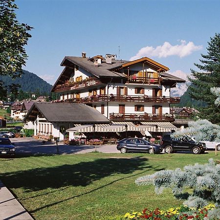 Hotel Stella Alpina 팔카데 외부 사진