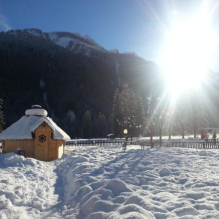 Hotel Stella Alpina 팔카데 외부 사진