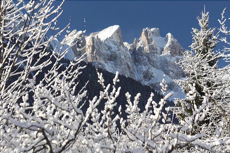 Hotel Stella Alpina 팔카데 외부 사진